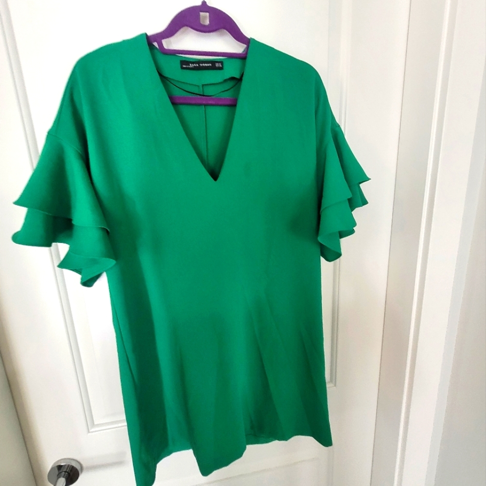 Zara Ruffle Sleeve Mini Dress